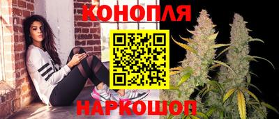 мдпв Партизанск