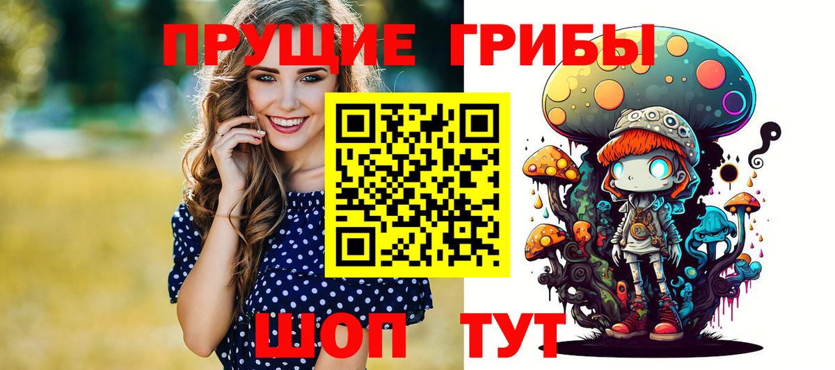 Псилоцибиновые грибы GOLDEN TEACHER Туапсе