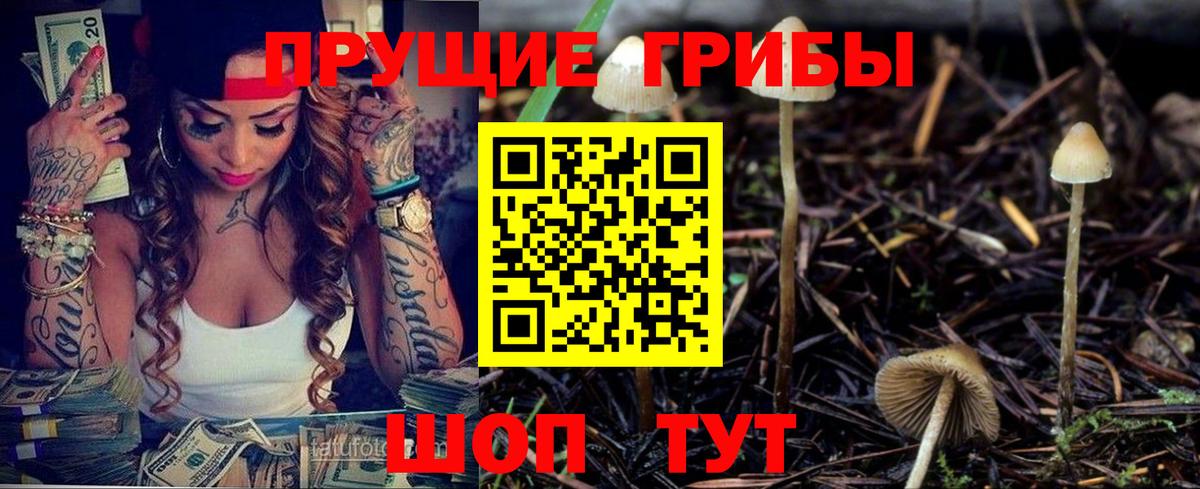 Псилоцибиновые грибы Cubensis  Псилоцибиновые грибы прущие грибы  Туапсе  Вход с VPN 